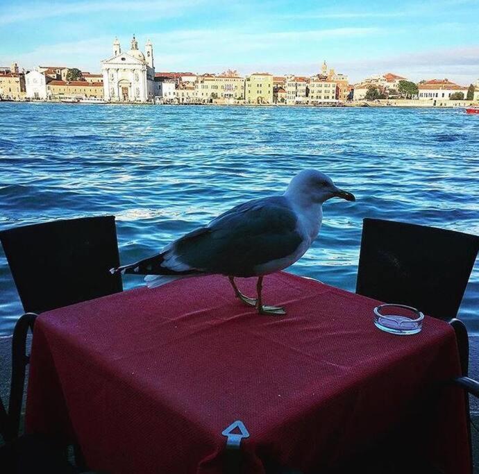 Ca' Milla Venezia